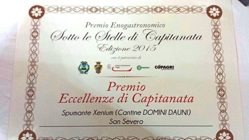 Xenium ottiene il premio “Eccellenze di Capitanata” 2015